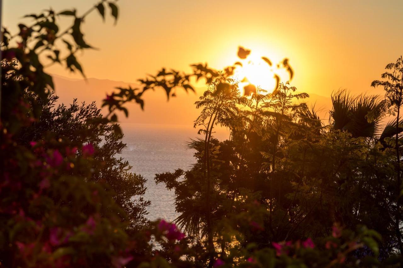Ionian Garden Villas - Villa Sol بينيتسيس المظهر الخارجي الصورة